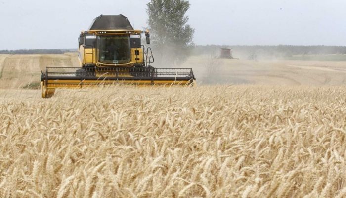 أوكرانيا تُقيّد تصدير القمح والذرة وزيت دوار الشمس