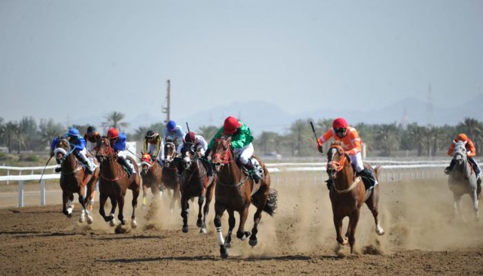 تتويج الخيول الفائزة بسباق الخيل السلطاني الثامن عشر