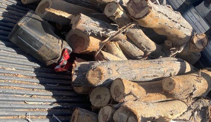 Citizen arrested for running illegal logging operation in Oman