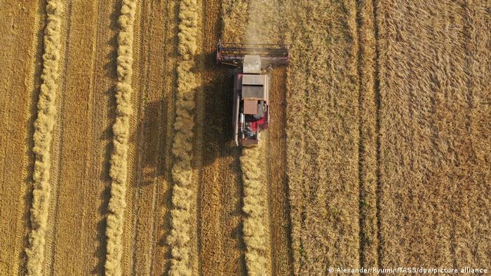Ukraine war increases global food insecurity
