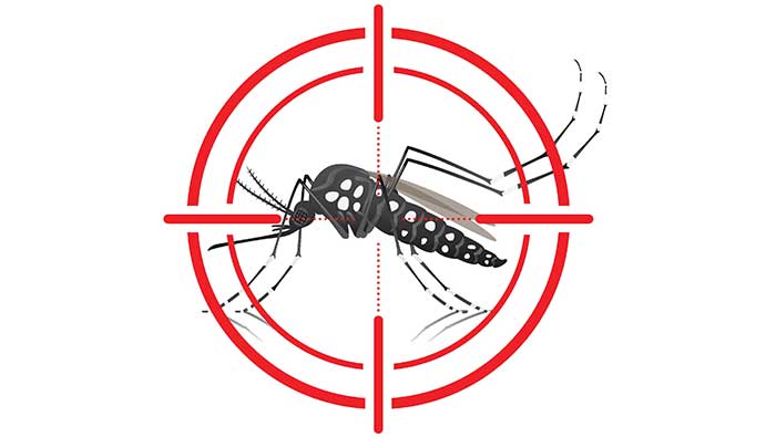 Oman's Health Ministry issues guidelines to limit spread of Aedes aegypti mosquito