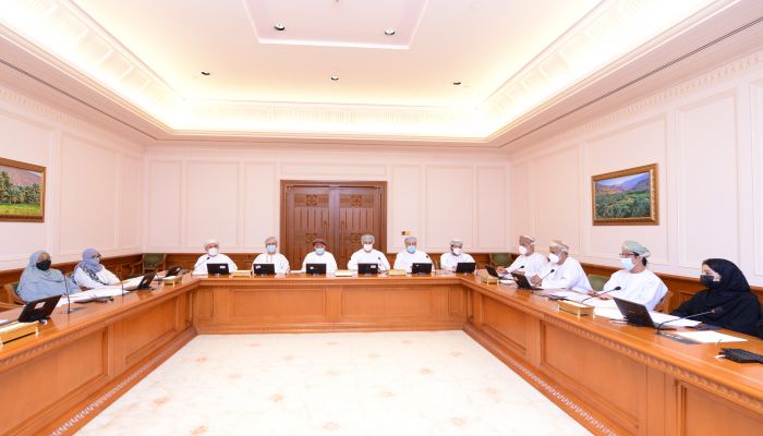 «اللجنة الاجتماعية» بمجلس الدولة تستعرض أعمال اجتماعاتها