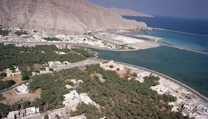 Over 8,000 seedlings planted in Musandam Governorate during first quarter of 2022