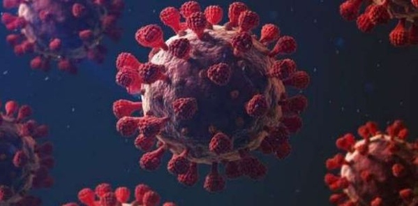 إصابات العالم بفيروس كورونا تقترب من 502 مليون