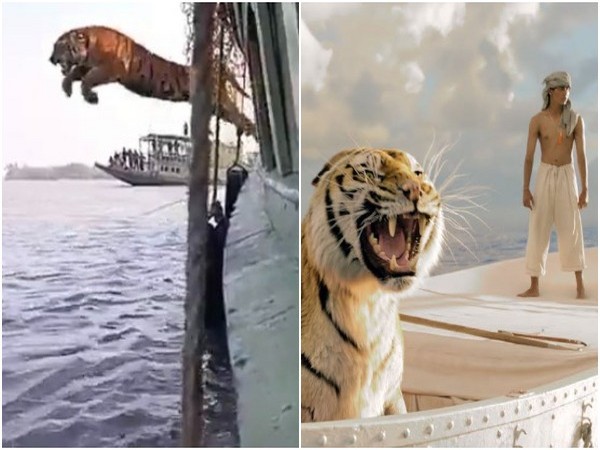 Viral video of tiger jumping from boat reminds netizens of 'Life of Pi's Richard Parker