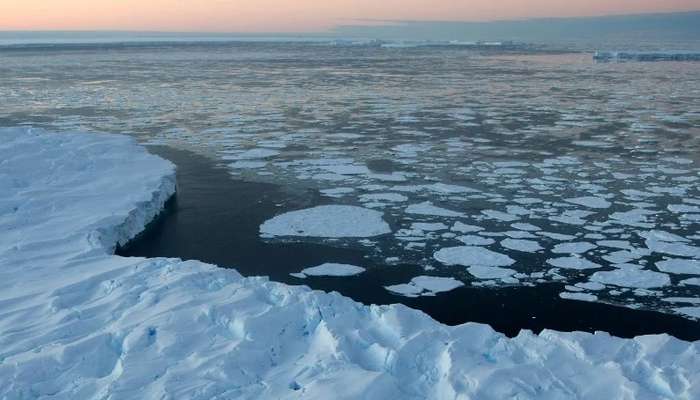 Area covered by Antarctic sea ice falls to lowest recorded level