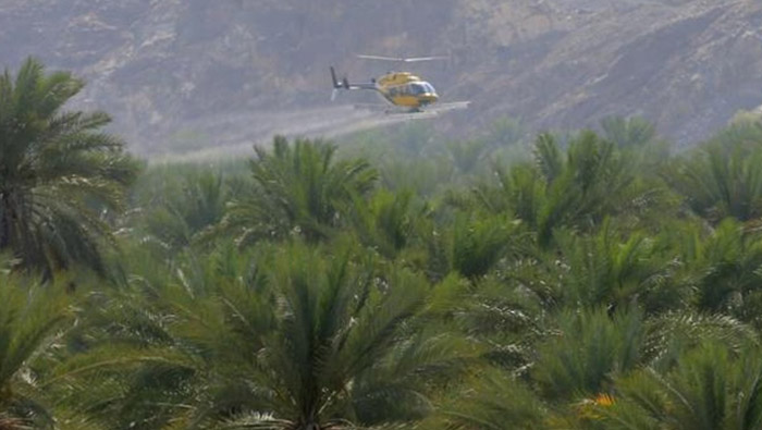 Ministry organises campaign for aerial spraying of Dobas palm bug