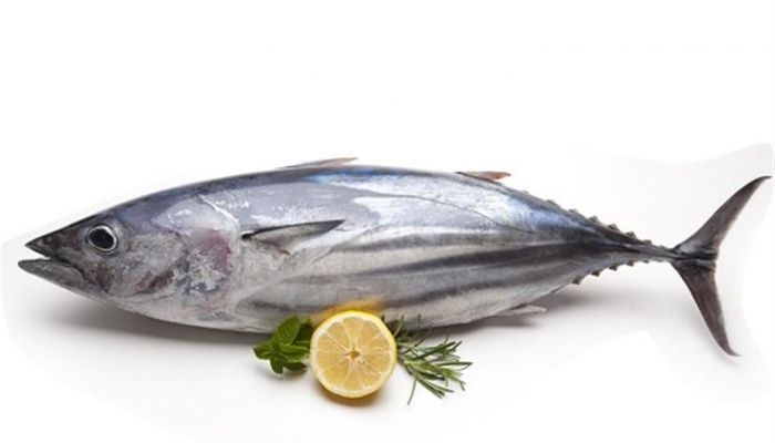 إنتاج سلطنة عمان من أسماك التونة يتضاعف 3 مرات خلال 5 سنوات