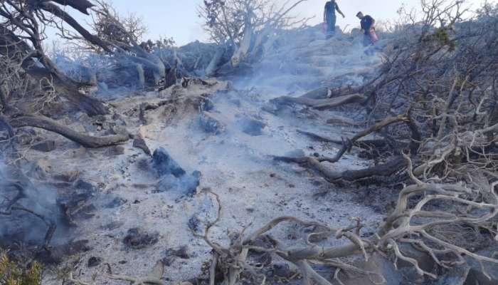 CDAA team puts out fire in Al Dakhiliyah Governorate