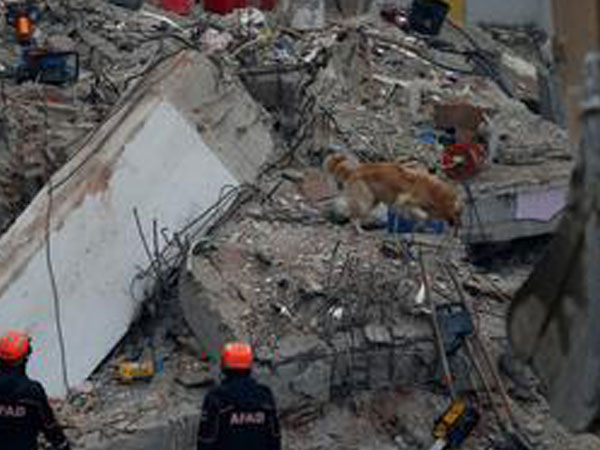 At least 8 killed in building collapse in Nigeria