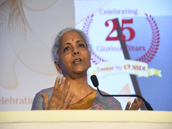 Retail investors have become shock absorbers in Indian equities: Sitharaman