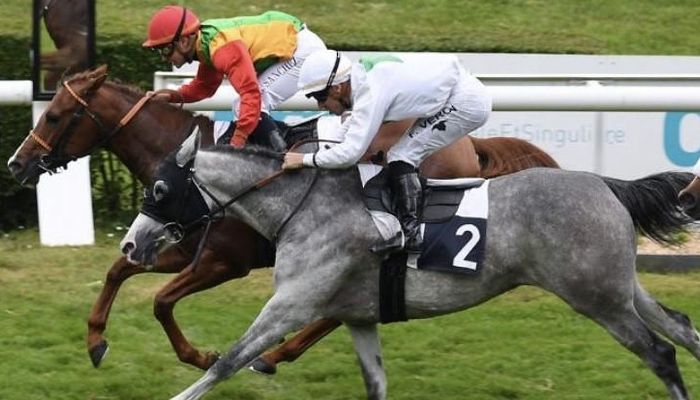 الحصان صفو للخيالة السُّلطانية يفوز بالمركز الأول على مضمار داكس الفرنسي