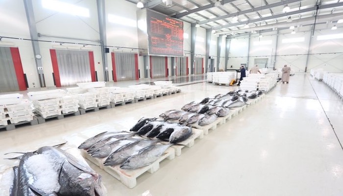 Oman's fish production decreases