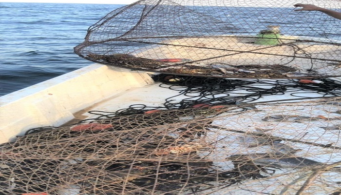 Over 200 fishing law violations recorded in April in Oman