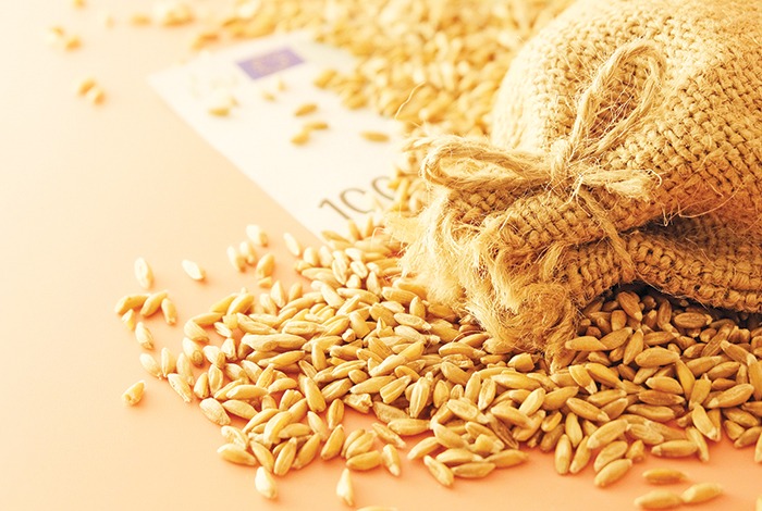 Oman may import wheat from Australia and Argentina