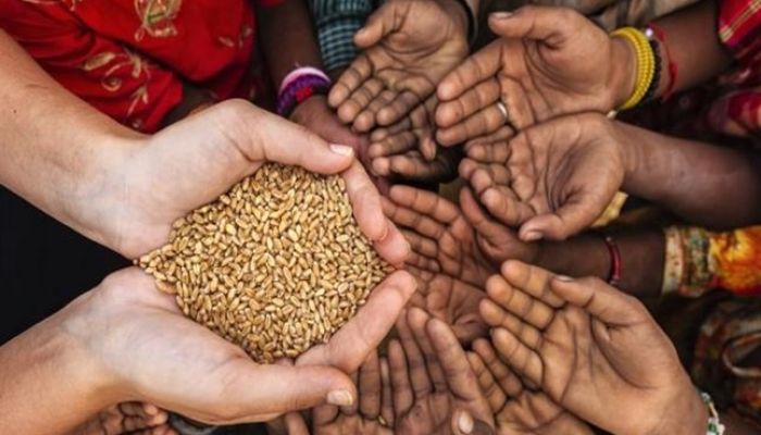 البنك الدولي يدعم مشروعات الأمن الغذائي بـ 30 مليار دولار