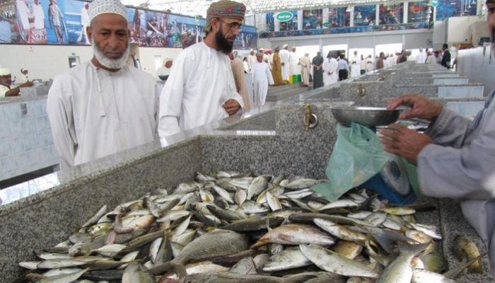 أكثر من 359 ألف طن إجمالي الإنتاج السنوي للأسماك بالوسطى