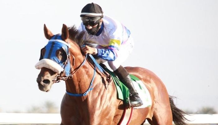 المنظمة العالمية للخيول العربية تدرج الحصان ’المفحم’ في قائمة الخيول الفائزة بدروعها