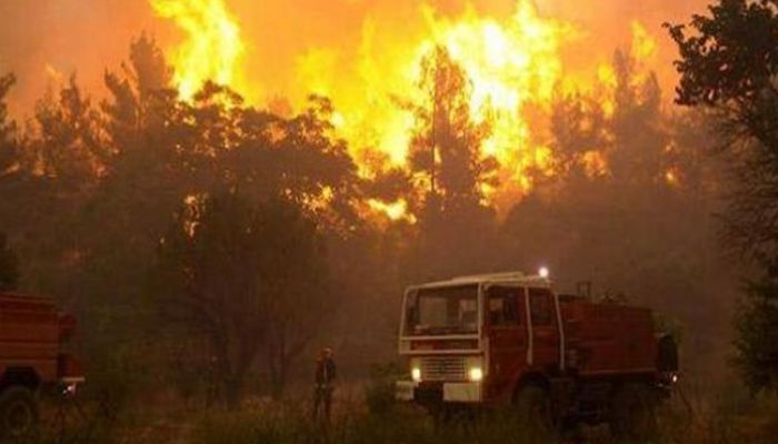 حرائق في غابات جنوب فرنسا بسبب الحرارة المرتفعة