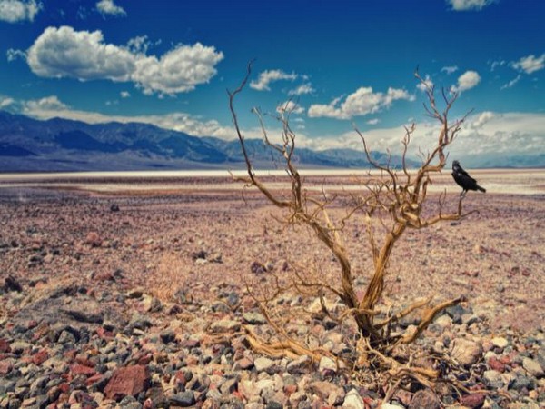 WFP says 7.4 million people food insecure in south Ethiopia amid severe drought