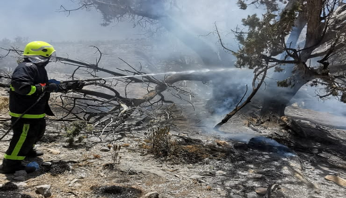CDAA puts out forest fire in Oman