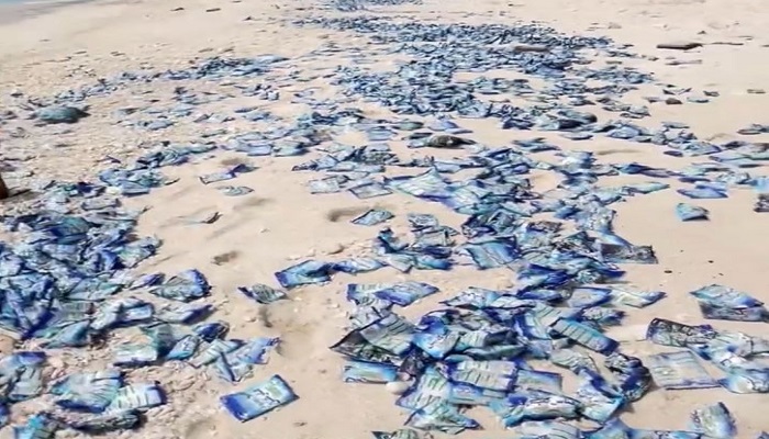 Hundreds of washing powder bags found at Muscat beaches