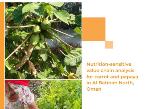 FAO and MAFWR launches initiative to promote sustainable healthy food systems in the Sultanate