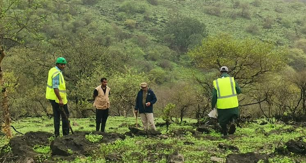 Environment Authority launches second phase to plant saplings in Dhofar