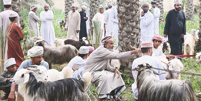 Oman gears up for Eid Al Adha celebrations