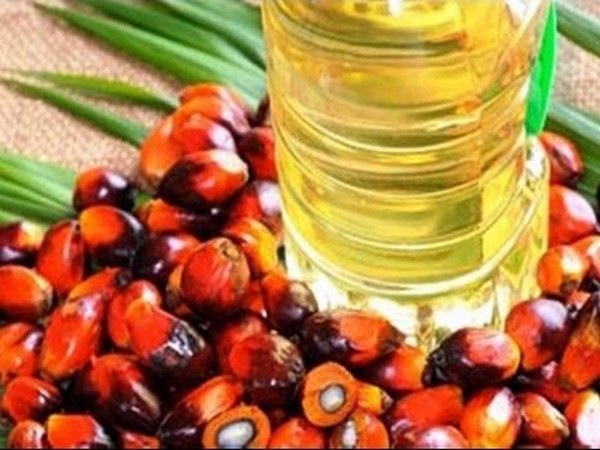Huge edible oil imports compromise India's interest, imperative to become self-reliant: Report