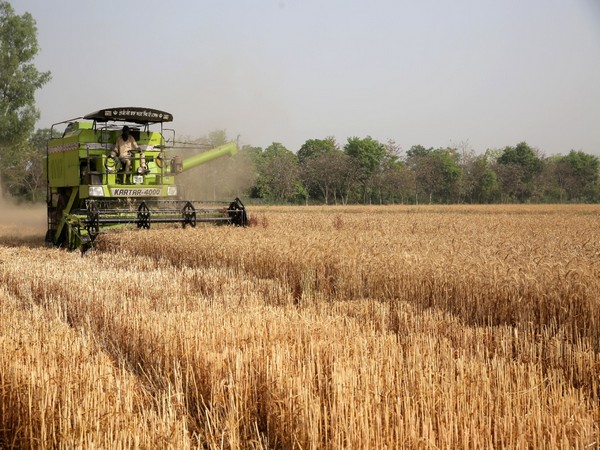 Wheat production in Ukraine likely to fall 41% in 2022-23 season