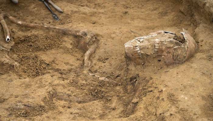 Battle of Waterloo skeletons uncovered in Belgium