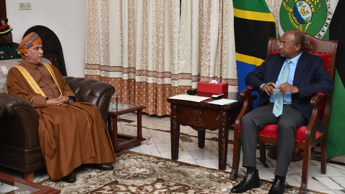 President of Zanzibar meets foreign ministry undersecretary