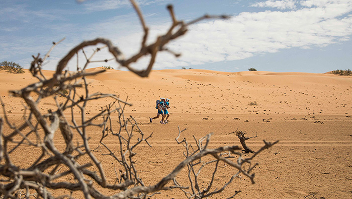 8日版的阿曼沙漠马拉松在1月举行