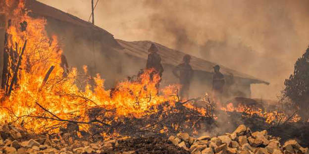 حرائق الغابات تودي بحياة امرأتين شمال المغرب