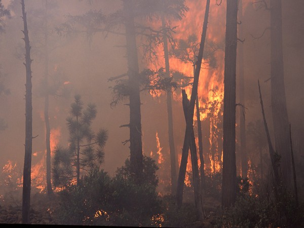 New wildfires in southeast France burn 900 hectares of land