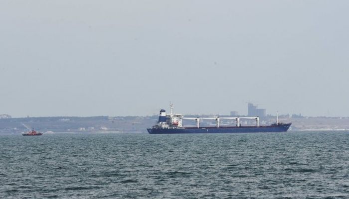 وصول أول سفينة تحمل الحبوب الأوكرانية إلى إسطنبول