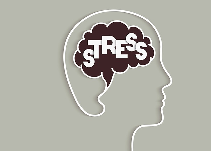 Sometimes stress could be good for brain functioning
