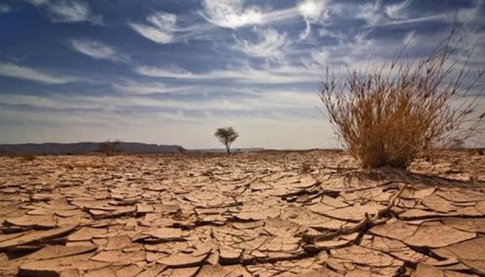 بريطانيا تعلن حالة الجفاف في أجزاء من إنجلترا وسط موجة حارة