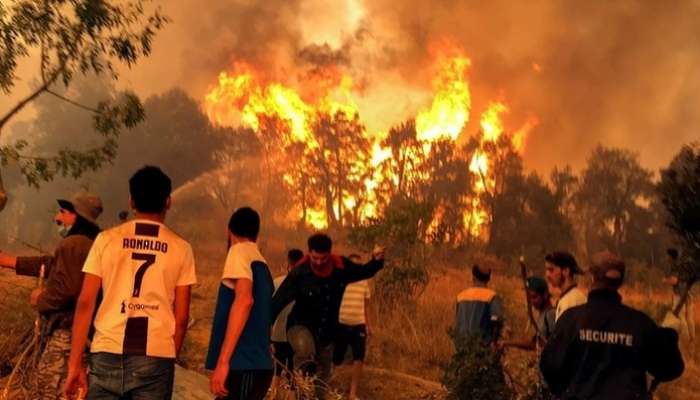 Oman sends condolences to Algeria on wildfires victims