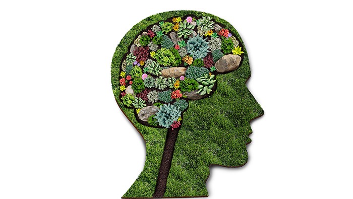 Designing  your garden for better mental health