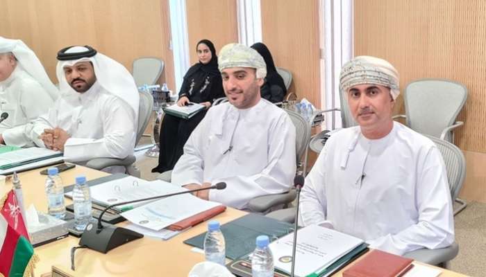 SAI participates in integrity protection, anti-corruption agencies meeting