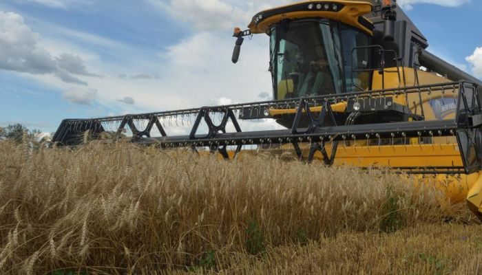 روسيا توافق على تصدير 30 مليون طن من الحبوب للأسواق الدولية بنهاية 2022