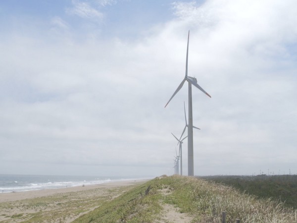 Japan's wind power sector shines
