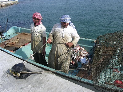القطاع السمكي في جنوب الشرقية: مواسم صيد منتجة وفرص استثمارية واعدة