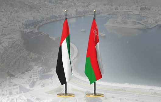 Two countries share deep-rooted social ties: UAE Ambassador
