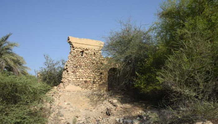 تجمع كبير لمستوطنات أثرية وتاريخية في ولاية قريات