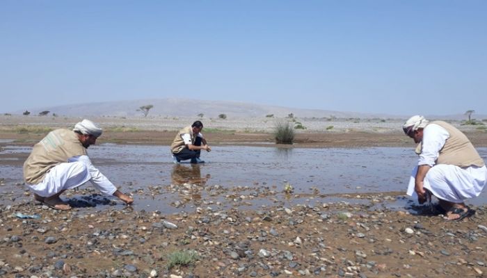 إدارة البيئة بمحافظة الداخلية تقوم بعمليات نثر البذور في عدد من المواقع