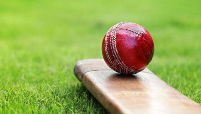 UAE-based cricketer Chhayakar banned for 14 years under anti-corruption codes