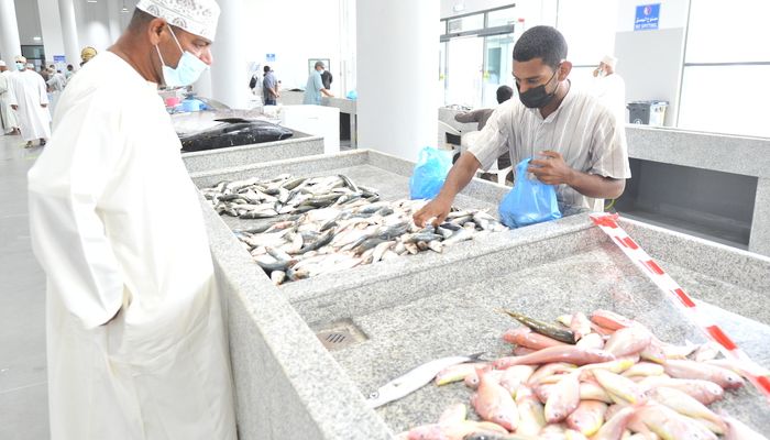 قيمة إنتاج الأسماك في سلطنة عُمان تتجاوز 226 مليون ريال